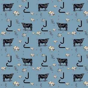 BHallBlueSteer
