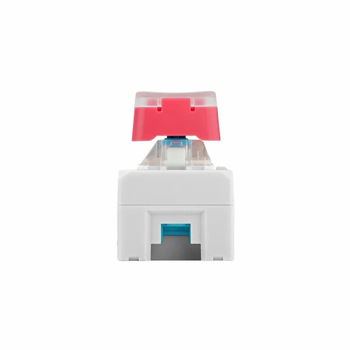 Chain Dual Key with ESP32-S3 - m5stack-store