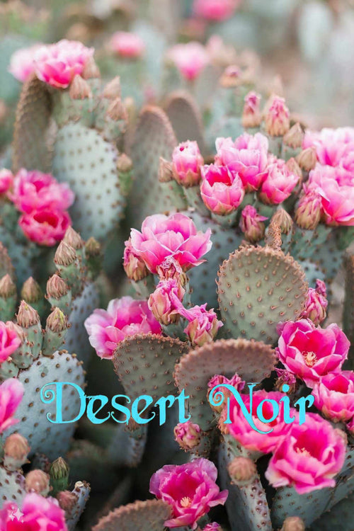 Baby Beaver Tails, Opuntia basilaris 'Caudata'