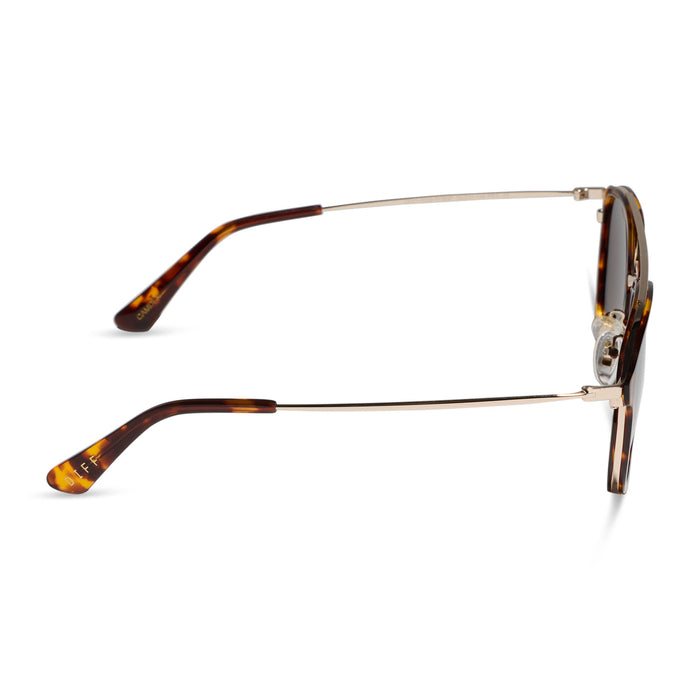 diff eyewear featuring the camden aviator sunglasses with a rich tortoise frame and brown polarized lenses side view