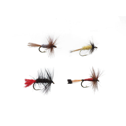 Dry Fly Assortment II