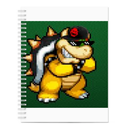 Flynn Notebook