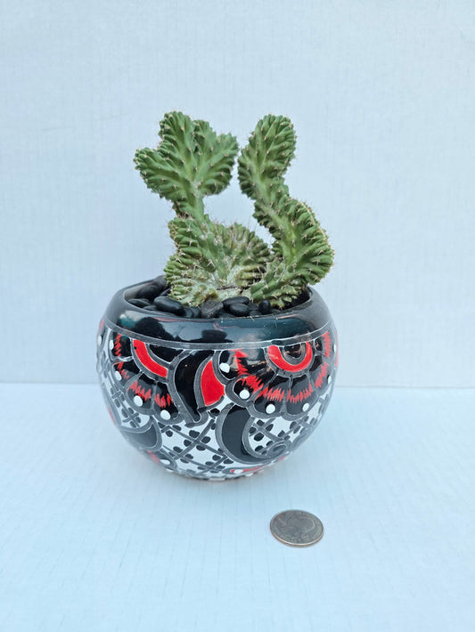 Hand-Painted Mini Cactus in Clay Pot – Unique Desert Decor & Easy-Care Gift