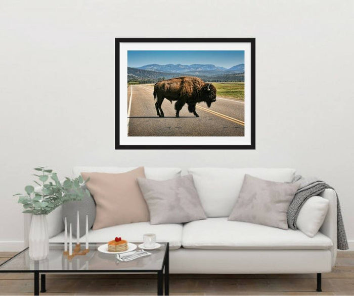 Highland Cow print Buffalo Wall art Buffalo Print Highland Cow Animal Print Cow Home Decor Poster