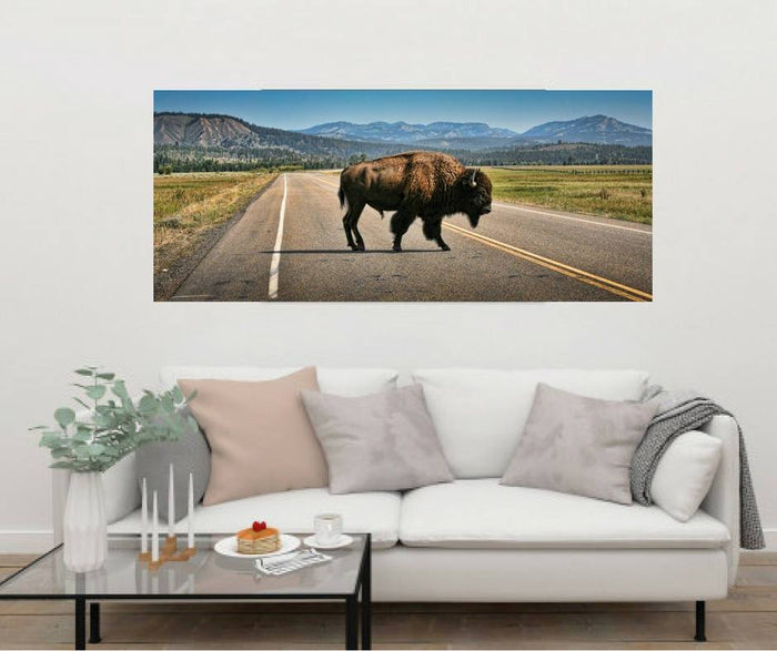 Highland Cow print Buffalo Wall art Buffalo Print Highland Cow Animal Print Cow Home Decor Poster