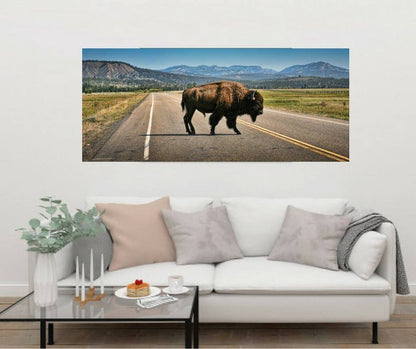 Highland Cow print Buffalo Wall art Buffalo Print Highland Cow Animal Print Cow Home Decor Poster