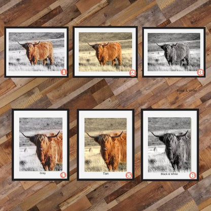 Highland Cow print Buffalo Wall art Buffalo Print Highland Cow Animal Print Cow Home Decor Poster