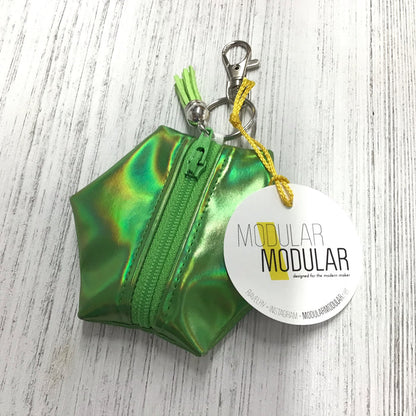 Holographic Notions Pouches