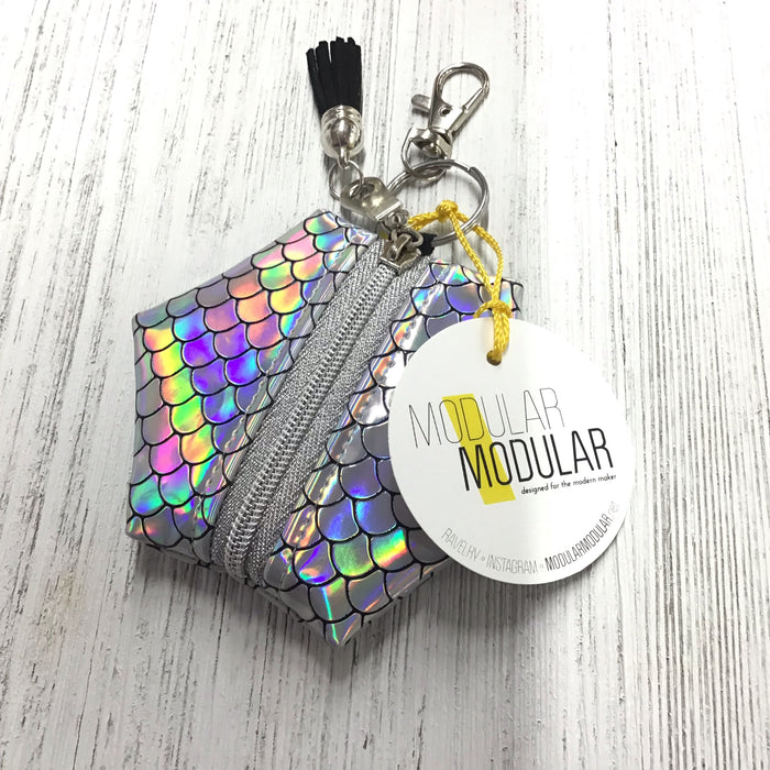 Holographic Notions Pouches