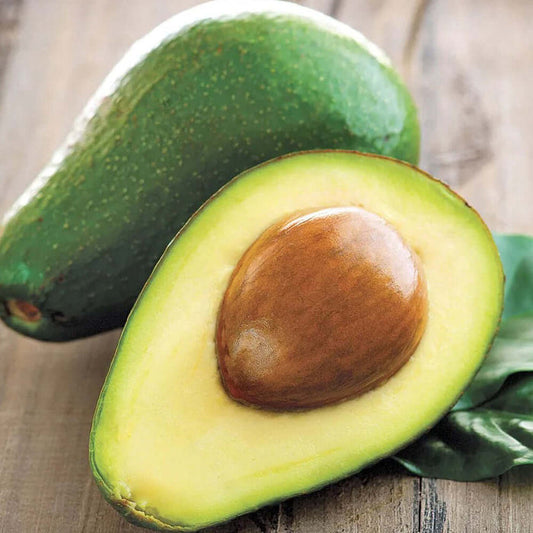 Little Cado Avocado (7863714775295)