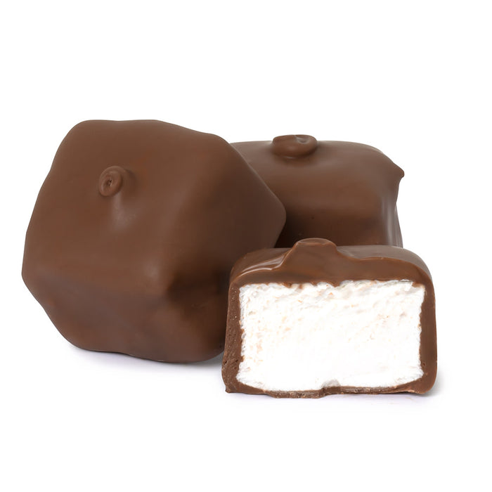 Milk Chocolate Vanilla Marshmallow Candy - 5 LB