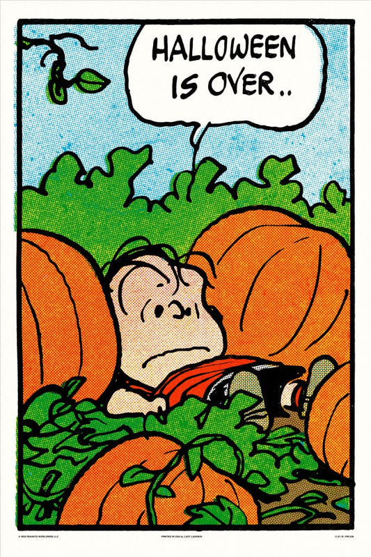 Peanuts Halloween Is Over Poster