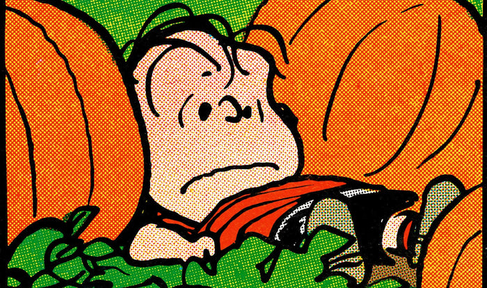 Peanuts Halloween Is Over Poster