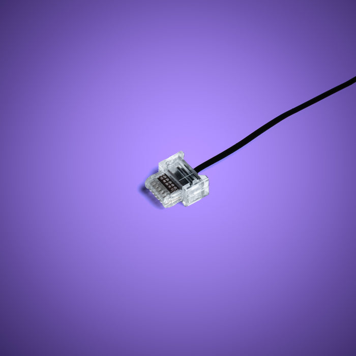 Powered Up Belt - 15cm