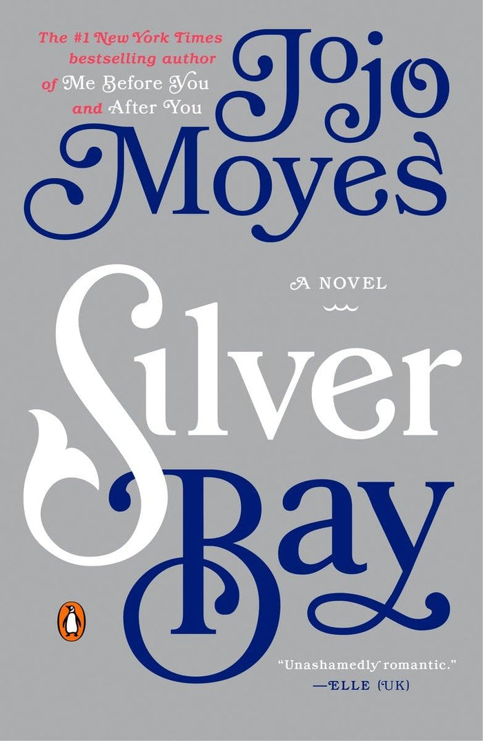 Silver Bay: A Novel Paperback