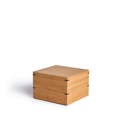 Small Two-Tiered Square Lunch Box