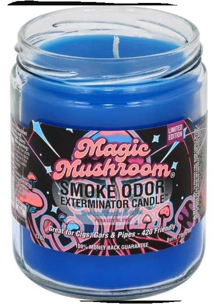 Magic Mushroom