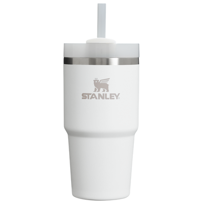 Stanley The Quencher H2.0 Flowstate Tumbler 20 oz Hydration Stanley Frost