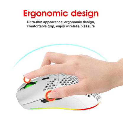 Lightweight ergonomic computer mouse with a perforated honeycomb shell design and RGB lighting.