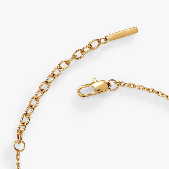 Stainless Steel Gold