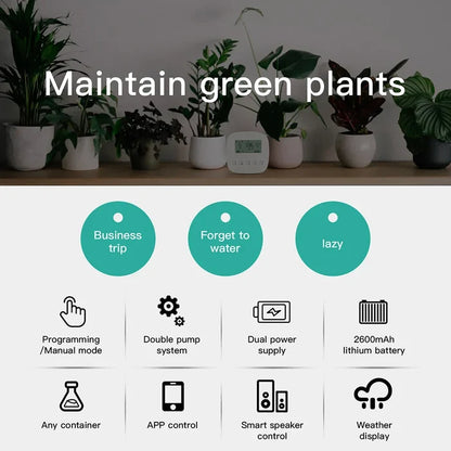 Automatic plant watering system features.
