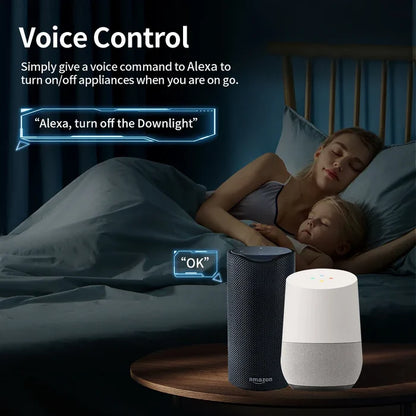 Two smart speakers.