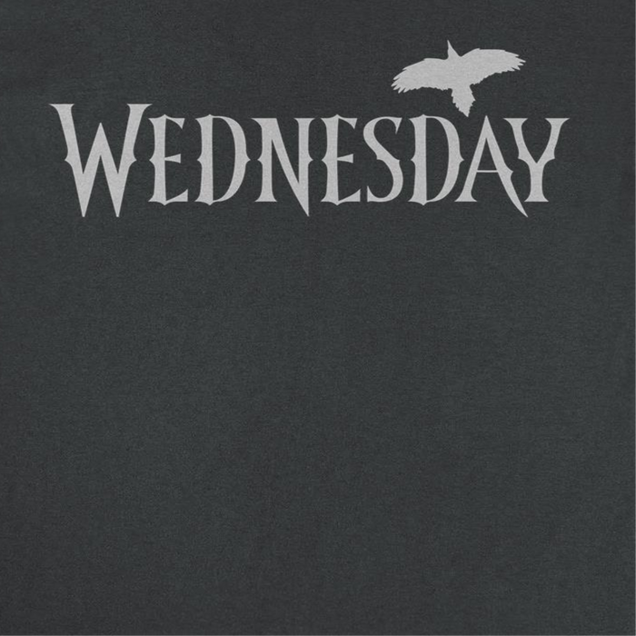 Wednesday Wednesday Logo Gray Black T-Shirt