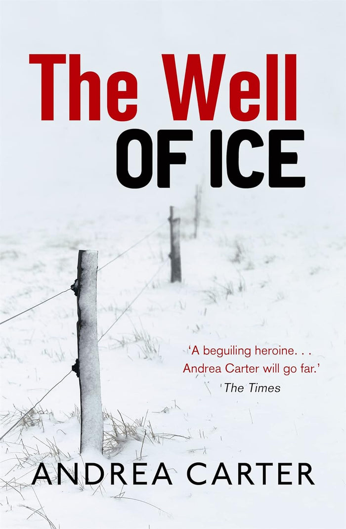Well of Ice Paperback