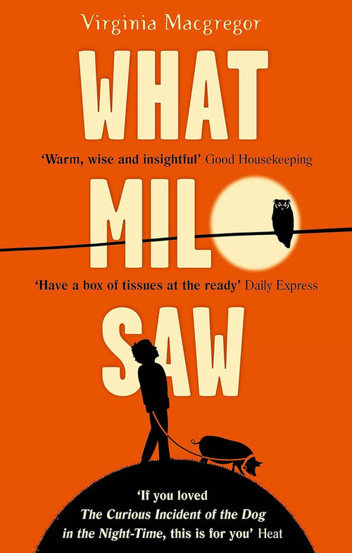What Milo Saw: He Sees The world In A Very Special Way . . . Paperback
